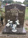image of grave number 99948